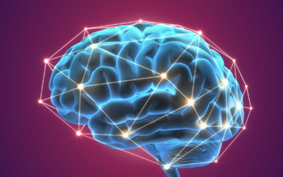 OpenAI retarde aujourd&rsquo;hui le mode adulte ChatGPT : pourquoi 2026 ?