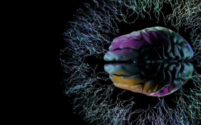 AI Act : Découvrez pourquoi l’Europe encadre l’IA dès aujourd’hui